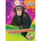 Chimpanzees - Library Binding