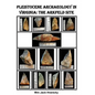 Pleistocene Archaeology in Virginia: The Arkfeld Site - Paperback