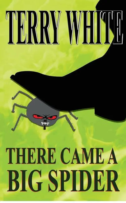 There Came A Big Spider - Paperback