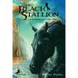 The Black Stallion - Hardcover
