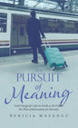 The Pursuit of Meaning: God's Design for Life on Earth as He Fulfills His Plan of Restoration for Eternity - Hardcover
