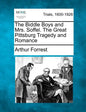 The Biddle Boys and Mrs. Soffel. the Great Pittsburg Tragedy and Romance - Paperback