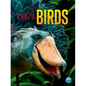 Crazy Birds - Paperback