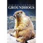 Groundhogs - Curious Kids Press: Kids book about animals and wildlife, Children's books 4-6 - Paperback