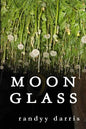 Moon Glass - Paperback