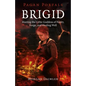 Brigid: Meeting the Celtic Goddess of Poetry, Forge, and Healing Well - Paperback