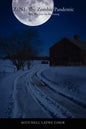 Z1n1: The Zombie Pandemic: 2012 Was Just the Beginning - Paperback
