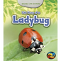 Life Story of a Ladybug - Paperback