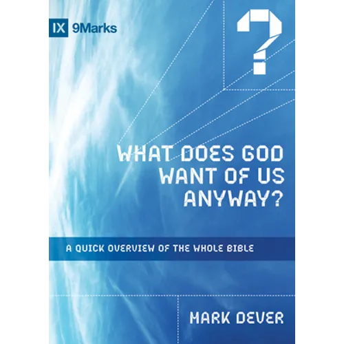 What Does God Want of Us Anyway?: A Quick Overview of the Whole Bible - Paperback