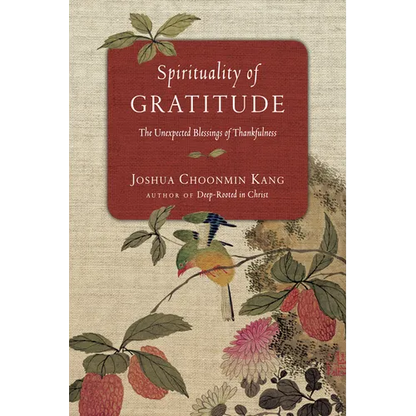 Spirituality of Gratitude: The Unexpected Blessings of Thankfulness - Paperback