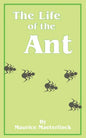 The Life of the Ant - Paperback