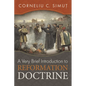 A Very Brief Introduction to Reformation Doctrine - Paperback