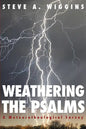 Weathering the Psalms: A Meteorotheological Survey - Paperback