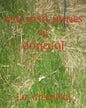 Real Irish Fairies of Donegal: Just Because You Don't Believe In Fairies Doesn't Mean They Don't Exist - Paperback