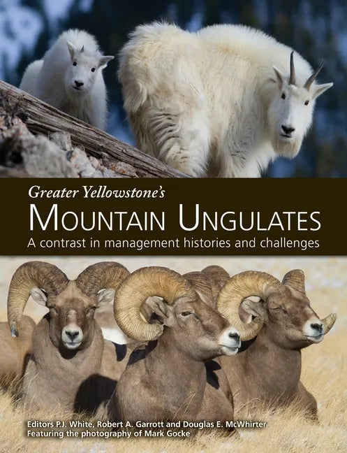 Greater Yellowstone's Mountain Ungulates: A Contrast in Management Histories and Challenges: A - Paperback