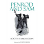 Penrod and Sam: Illustrated - Paperback