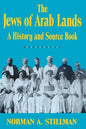 The Jews of Arab Lands: A History and Source Book - Paperback