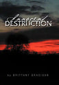 Innocent Destruction - Hardcover
