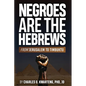 Negroes Are the Hebrews: From Jerusalem to Timbuktu - Paperback