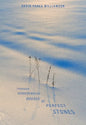 Through Disassembled Houses of Perfect Stones - Paperback