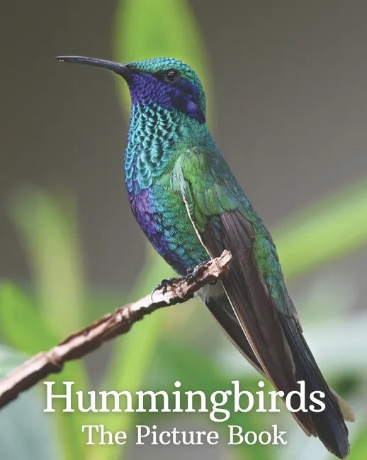 Hummingbirds: The Picture Book of Hummingbirds Great Gift for Parkinson's Alzheimer's & Seniors with Dementia. - Paperback