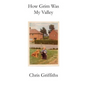 How Grim Was My Valley - Paperback