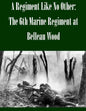A Regiment Like No Other: The 6th Marine Regiment at Belleau Wood - Paperback