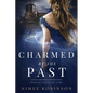 Charmed by the Past: A Time Travel Romance - Paperback