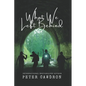 What We Left Behind - Paperback