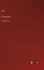 Protagoras: in large print - Hardcover