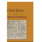 A Brief History of the Saugeen Peninsula - Paperback