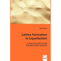 Lattice Formation in Liquefaction - Paperback
