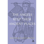 Angels Keep Their Ancient Places: Reflections on Celtic Spirituality - Paperback