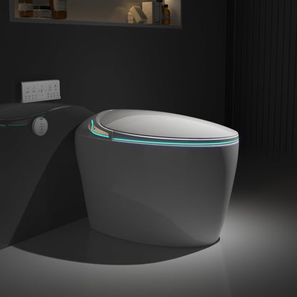 Unique Smart Toilet with Bidet Built In, Intelligent One Piece Toilet For Mod...