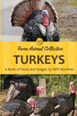Turkeys - Paperback