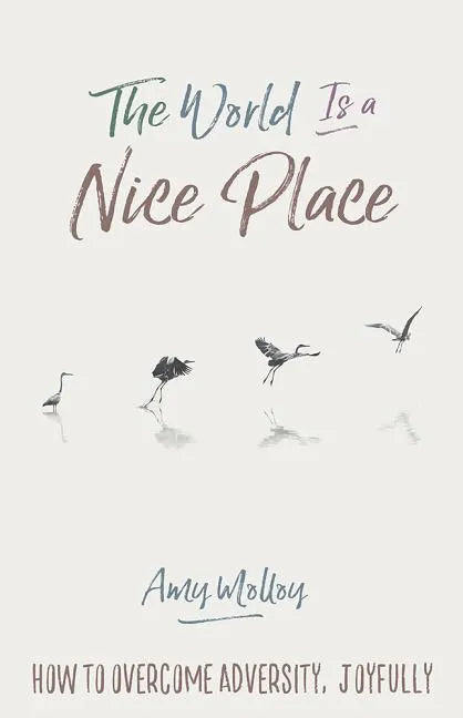 The World Is a Nice Place: How to Overcome Adversity, Joyfully - Paperback