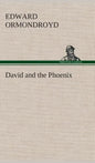 David and the Phoenix - Hardcover
