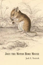 Joey the Motor Home Mouse - Paperback