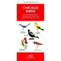 Connecticut Birds: A Folding Pocket Guide to Familiar Species