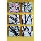 Simply My Window - Paperback