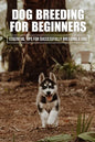 Dog Breeding For Beginners: Essential Tips For Successfully Breeding A Dog: How Much Does Dog Breeding Cost - Paperback