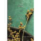 So Near and So Far - Paperback
