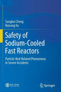 Safety of Sodium-Cooled Fast Reactors: Particle-Bed-Related Phenomena in Severe Accidents - Paperback