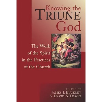 Knowing the Triune God: The Work of the Spirit in the Practices of the Church - Paperback