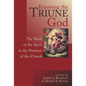 Knowing the Triune God: The Work of the Spirit in the Practices of the Church - Paperback