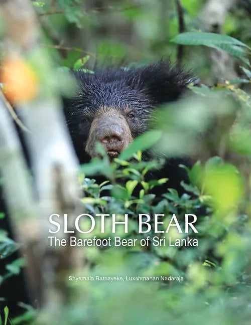 Sloth Bear: The Barefoot Bear of Sri Lanka - Paperback