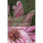 Spirit Seizures: Stories - Paperback