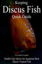 Keeping Discus Fish Quick Guide: Health Care Advice for Aquarium Bred Discus Tropical Fish - Paperback