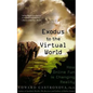 Exodus to the Virtual World: How Online Fun Is Changing Reality - Paperback