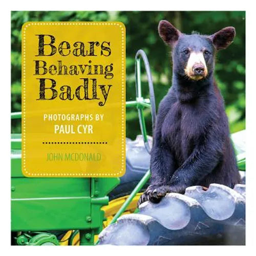 Bears Behaving Badly - Hardcover